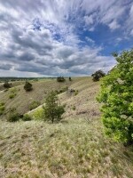 Mohelenská hadcová step (foto 8)