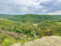 Mohelenská hadcová step (foto 9)