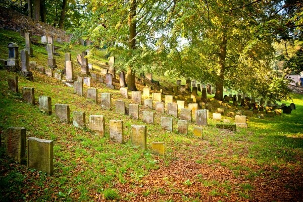 Turistické okruhy městem Jemnice (foto 1)