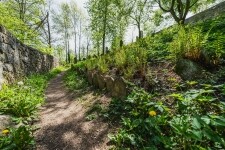 Zahrady života – židovské hřbitovy na Třebíčsku (foto 2)