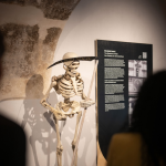 Stará radnice Havlíčkův Brod (foto 4)