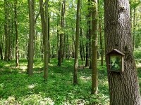 Po stopách obávaného loupežníka (foto 4)