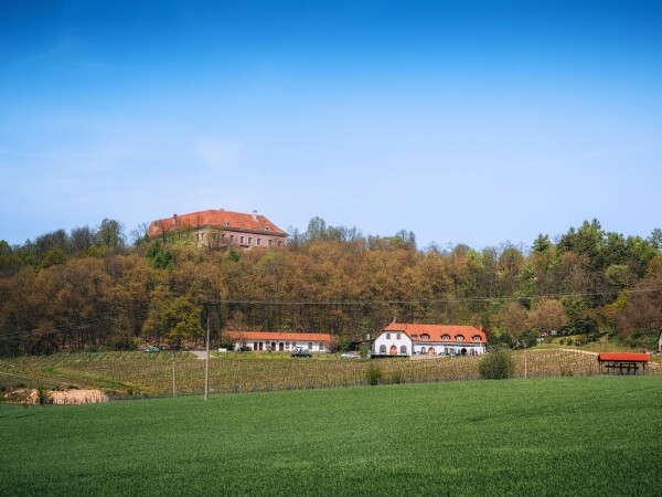 Jediné vinařství na Vysočině (foto 1)