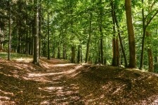 Krásy Náměšťska (foto 8)