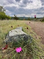 Mohelno a údolí Oslavy (foto 4)