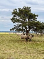 Mohelno a údolí Oslavy (foto 5)