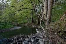 Přírodní park Rokytná (foto 2)