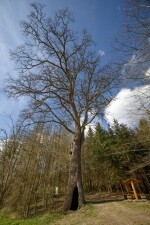 Přírodní park Rokytná (foto 4)