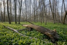 Přírodní park Rokytná (foto 5)