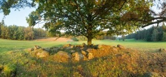 Příroda Třebíčska (foto 2)