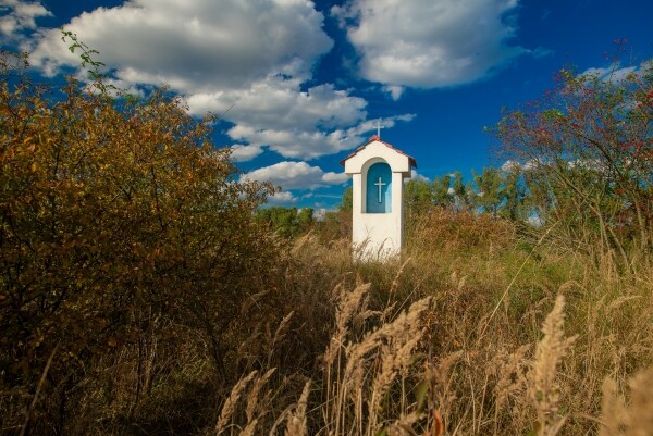 Příroda Třebíčska (foto 1)