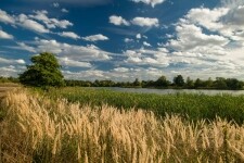 Příroda Třebíčska (foto 4)