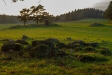 Příroda Třebíčska (foto 7)