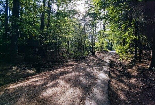 Sovovou stezkou na vrch Stražiště (foto 1)