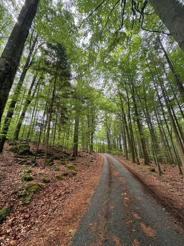 Sovovou stezkou na Stražiště (foto 1)