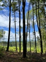 Sovovou stezkou na Stražiště (foto 4)