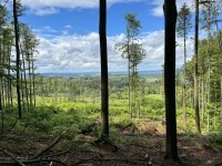 Sovovou stezkou na Stražiště (foto 5)