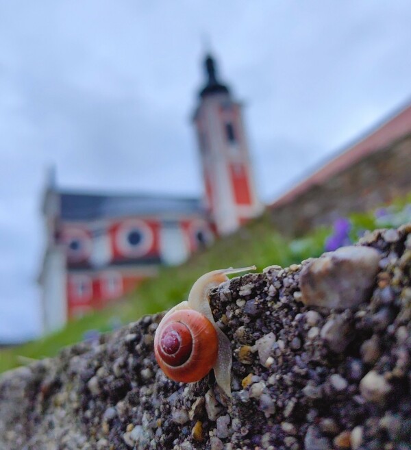 Vydejte se na výlet po Pacovu a vyluštěte tajenku (foto 1)