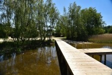 Zamilujte si přírodní koupaliště Plačkov (foto 2)