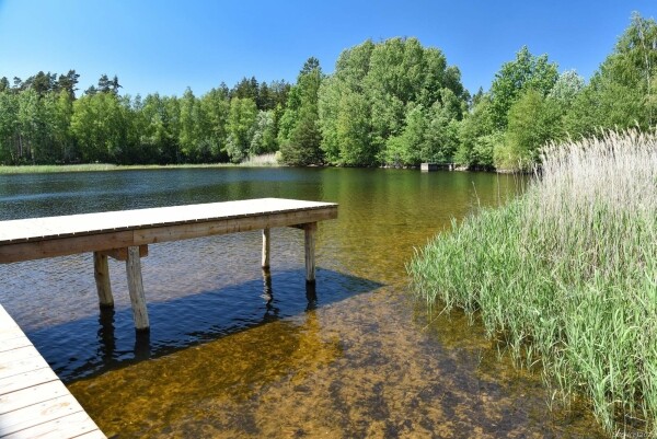 Zamilujte si přírodní koupaliště Plačkov (foto 1)