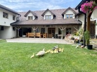 Agropenzion a farma rodiny Hajátkovy (foto 10)