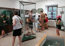 Regionální muzeum Žďár nad Sázavou (foto 8)