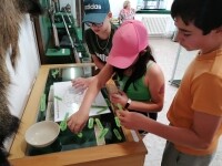 Regionální muzeum Žďár nad Sázavou (foto 9)