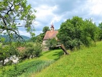 Kostel sv. Václava v Dolním Čepí (foto 4)