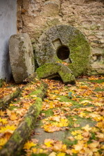 Mlýn a pila Trhonice (foto 5)