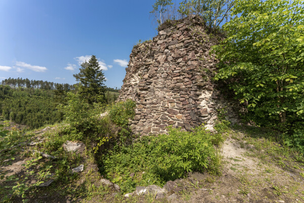 Zřícenina hradu Aueršperk (foto 1)