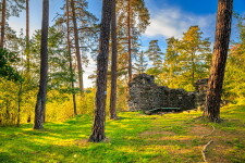 Zřícenina hradu Mitrov (foto 3)