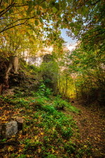 Zřícenina hradu Mitrov (foto 5)