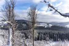 Zřícenina hradu Skály (foto 8)