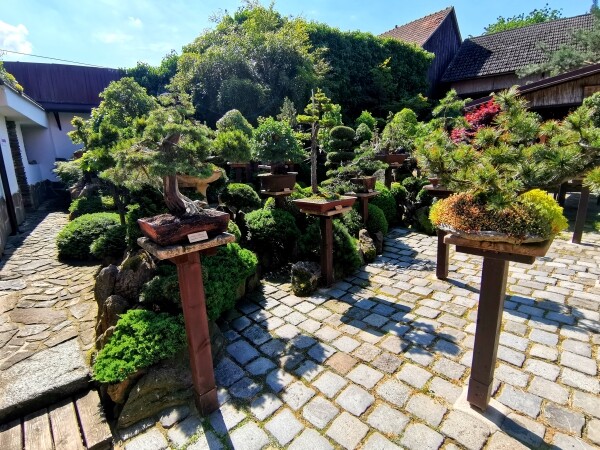 Japonská kamenná zahrada (foto 1)