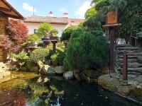 Japonská kamenná zahrada (foto 2)