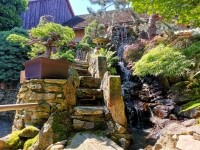 Japonská kamenná zahrada (foto 3)