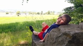 Hřibový háj (foto 2)