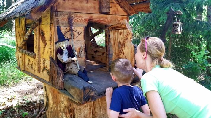 Hřibový háj (foto 1)