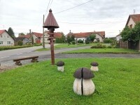 Hřibový háj (foto 3)