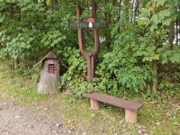 Hřibový háj (foto 4)