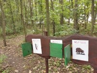 Hřibový háj (foto 5)