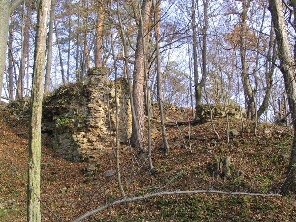 Zřícenina hradu Sedlec (foto 1)