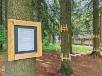 Lanový park Medlov (foto 5)