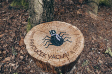 Pohádková stezka skřítka Ostružinky (foto 4)