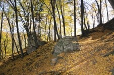 Zřícenina hradu Chřenovice (foto 4)