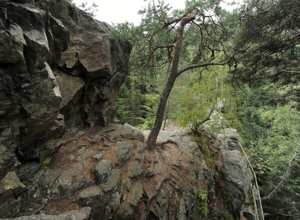 Sokolovec (Sokolohrad) (foto 1)