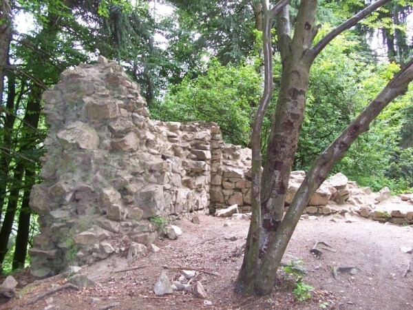 Zřícenina hradu Templštejn (foto 1)