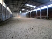 JC Nová Ves (foto 2)