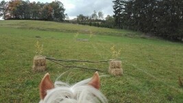 Jezdecká stáj Granus Stránecká Zhoř (foto 2)