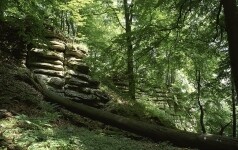 Zřícenina hradu Štamberk (foto 4)